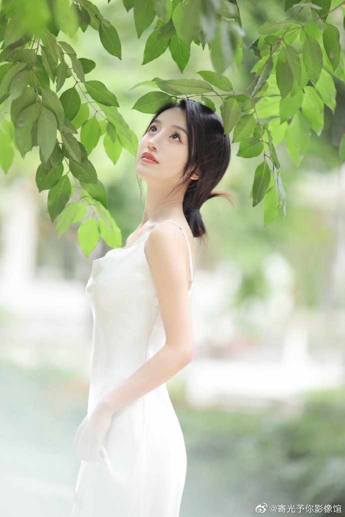 大明王朝1566